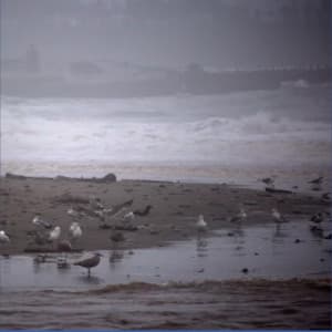 A Stormy Day at the Beach - Deep Sleep Sanctuary
