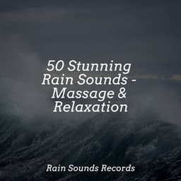 50 Stunning Rain Sounds - Massage & Relaxation - Relajación