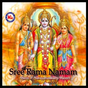 Sree Rama Namam - N R Mini