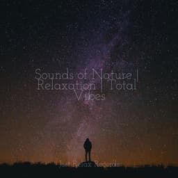 Sounds of Nature | Relaxation | Total Vibes - Lullabies for Deep Meditation