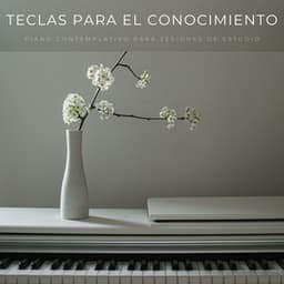Teclas Para El Conocimiento: Piano Contemplativo Para Sesiones De Estudio - Piano: relajación clásica