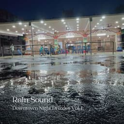 Rain Sound: Downtown Night Drizzles Vol. 1 - Binaural Beats Sleeping Music