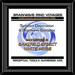 BMV Series 19 - Ganzfeld Effect White Noise - Sensory Deprivation - Brainwave Mind Voyages