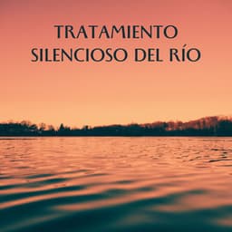 Tratamiento Silencioso Del Río - Camino del agua