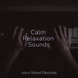 Calm Relaxation Sounds - Ivory Mood