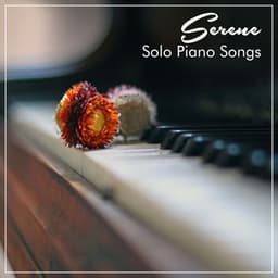 #11 Serene Solo Piano Songs - Classical New Age Piano Music