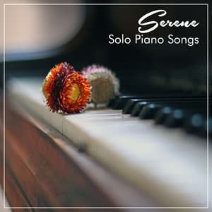 #11 Serene Solo Piano Songs - Classical New Age Piano Music