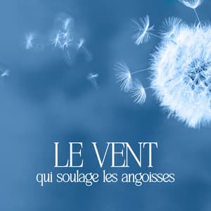 Le vent qui soulage les angoisses: Médecine relaxante, Thérapie naturelle, Sommeil calme - Oasis de Sommeil