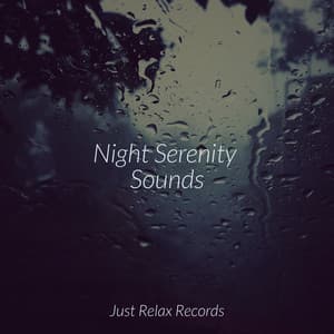Night Serenity Sounds - Deep Sleep Relaxation