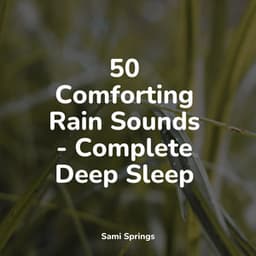 50 Comforting Rain Sounds - Complete Deep Sleep - Rising Higher Meditation