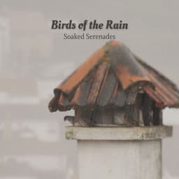 Birds of the Rain: Soaked Serenades - Sample Rain Library