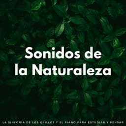 Sonidos De La Naturaleza: La Sinfonía De Los Grillos Y El Piano Para Estudiar Y Pensar - La naturaleza
