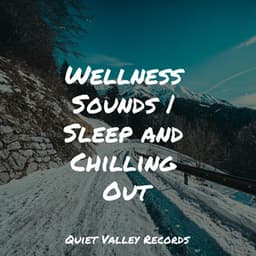 Wellness Sounds | Sleep and Chilling Out - Thunder Storms & Rain Sounds
