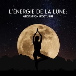 L'énergie de la lune - Alys Coliere