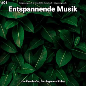 #01 Entspannende Musik zum Einschlafen, Beruhigen und Ruhen - Entspannungsmusik für tiefen Schlaf