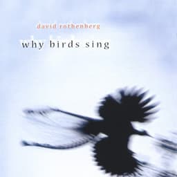 Why Birds Sing - David Rothenberg