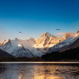 Sonidos Suaves: Música Calmante Para Tardes De Descanso - Bucles ASMR