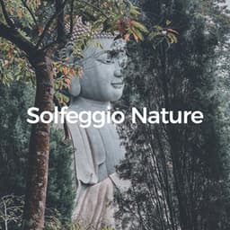 Solfeggio Nature - Masala Roo