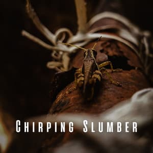 Chirping Slumber: Cricket Serenades for Restful Sleep - Nature And Bird Sounds