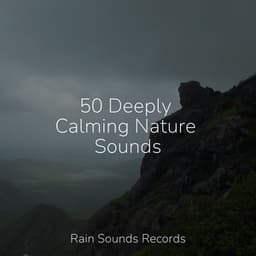 50 Deeply Calming Nature Sounds - Sea Waves Sounds
