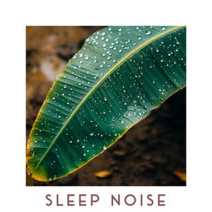 Whisper Sleep Noise - Baby Shushing