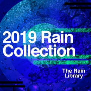 2019 Rain Collection - The Rain Library