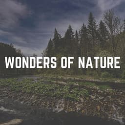 Wonders of Nature - Sounds Of The Earth