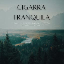 Cigarra Tranquila: Un Bosque Calmo De Sonidos De Insectos Para Una Terapia En El Spa - Bosque Tropical