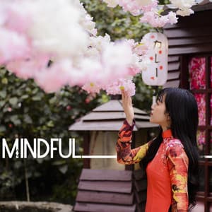 Mindful - Relaxing Mindfulness Meditation Relaxation Maestro