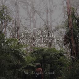 50 Tranquil Nature Sounds - Sounds of Rain for Sleep - Meeresrauschen