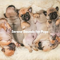 Serene Sounds for Pups - Santiago Lorenzo Amor