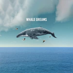 Whale Dreams - Sounds for Life