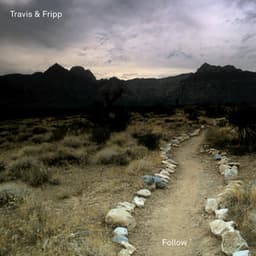 Follow - Theo Travis
