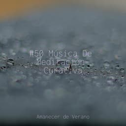 #50 Música De Meditación Curativa - Música relaxante