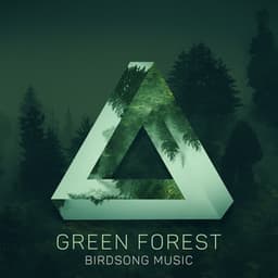 Green Forest - Birdsong Music, Forest Animals, Esthetic Music - Bird Song Group