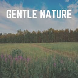 Gentle Nature - Sounds of the Forest