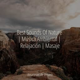 Best Sounds Of Nature | Música Ambiental | Relajación | Masaje - Meditación Maestro