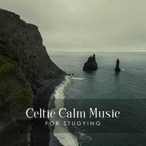 Celtic Calm Music for Studying - Brain Study Music Guys