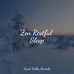 Zen Restful Sleep - Natural Sound Makers