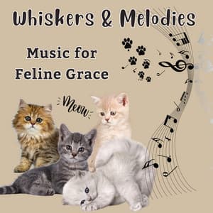 Whiskers & Melodies - Music for Feline Grace - Music for Cats TA