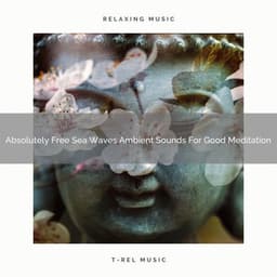 Absolutely Free Sea Waves Ambient Sounds For Good Meditation - Timeless Relax