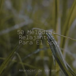 50 Melodías Relajantes Para El Spa - Canciones de Cuna para Bebés Acadèmico