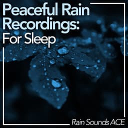 Peaceful Rain Recordings: For Sleep - Rain Sounds ACE