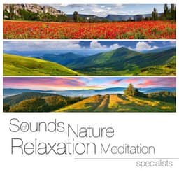 Sounds of Nature White Noise Relaxation Meditation Specialists - Relaxing Sounds of Nature White Noise Waheguru