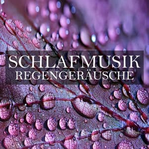 Schlafmusik: Regengeräusche - Schlafmusik
