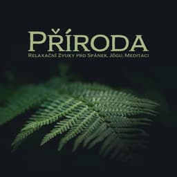 Příroda - Relaxační Zvuky pro Spánek, Jógu, Meditaci - Relaxační Zvuky