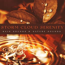 Storm Cloud Serenity - Rain Sounds & Nature Sounds
