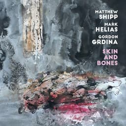 Skin and Bones - Matthew Shipp