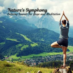 Nature's Symphony: Calming Sounds for Yoga and Meditation - Nature Sounds Nature Music