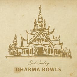 DharmaBowls: Spa, Meditation, Reiki, Yoga, Sleep and Study, Zen New Age 2022, Healing Through Sound and Touch - Bud Souley